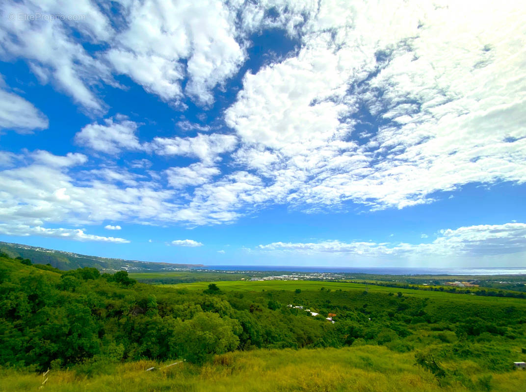 Terrain à SAINT-PAUL