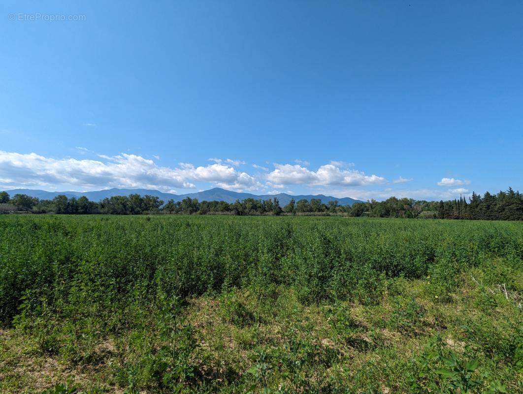 Terrain à ELNE