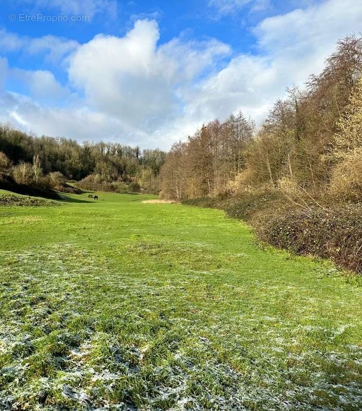 Terrain à COURTONNE-LA-MEURDRAC