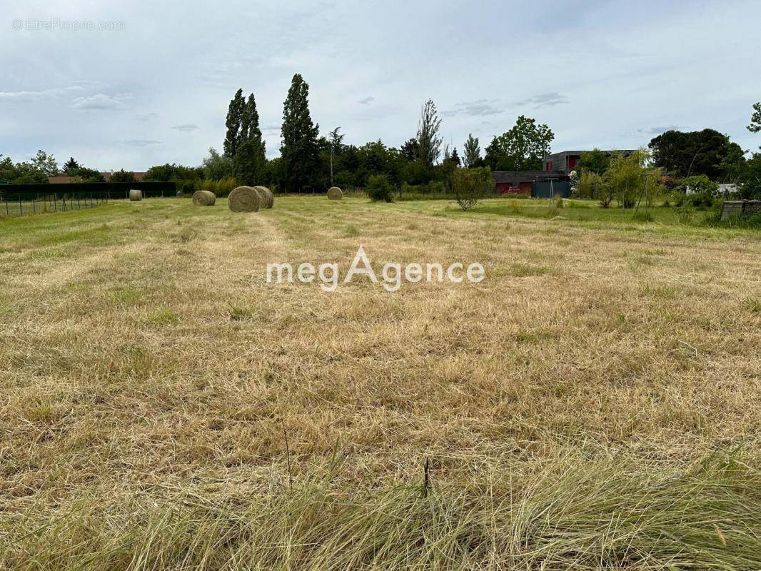 Terrain à CHATELLERAULT