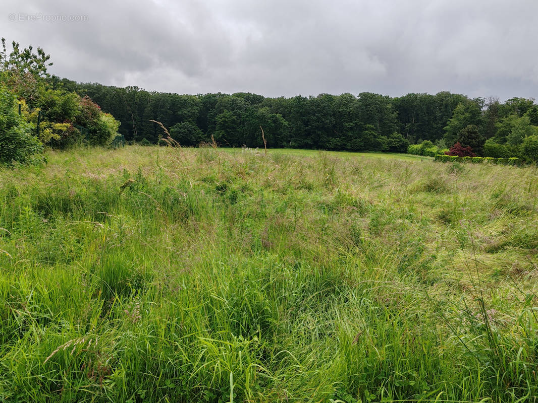 Terrain à CREPY-EN-VALOIS