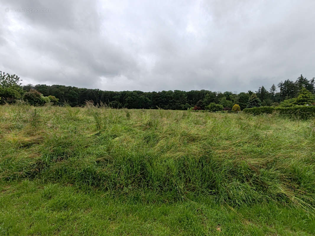 Terrain à CREPY-EN-VALOIS