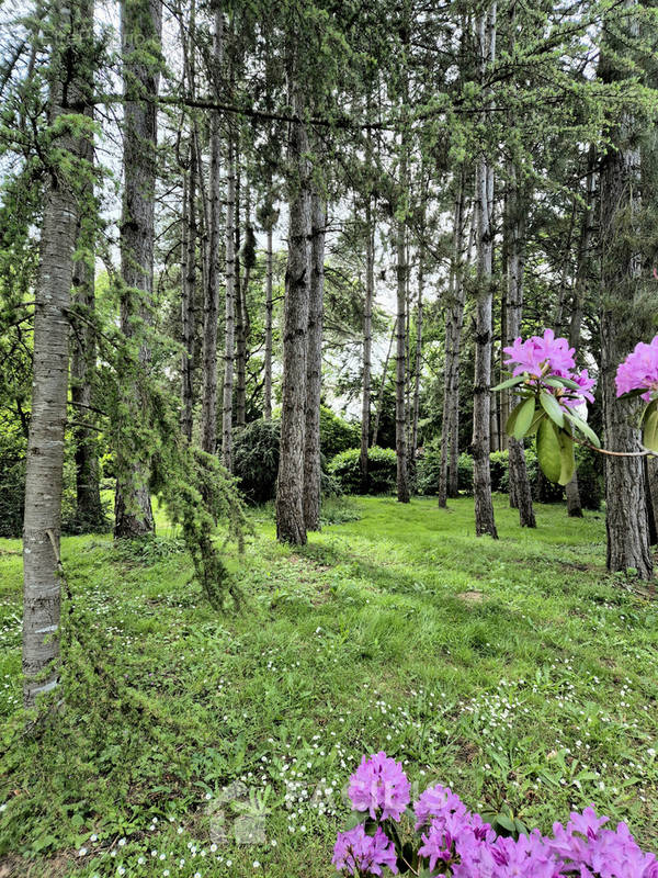 Terrain à MIGNALOUX-BEAUVOIR