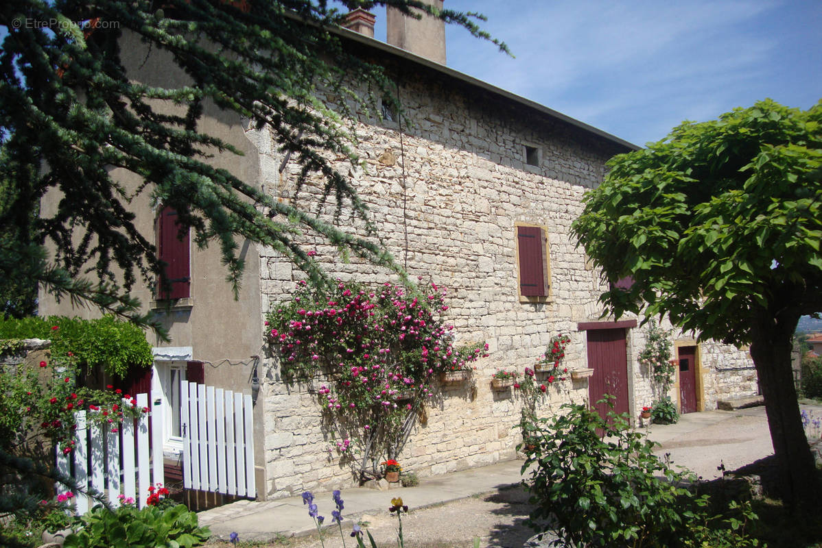 Maison à LISSIEU