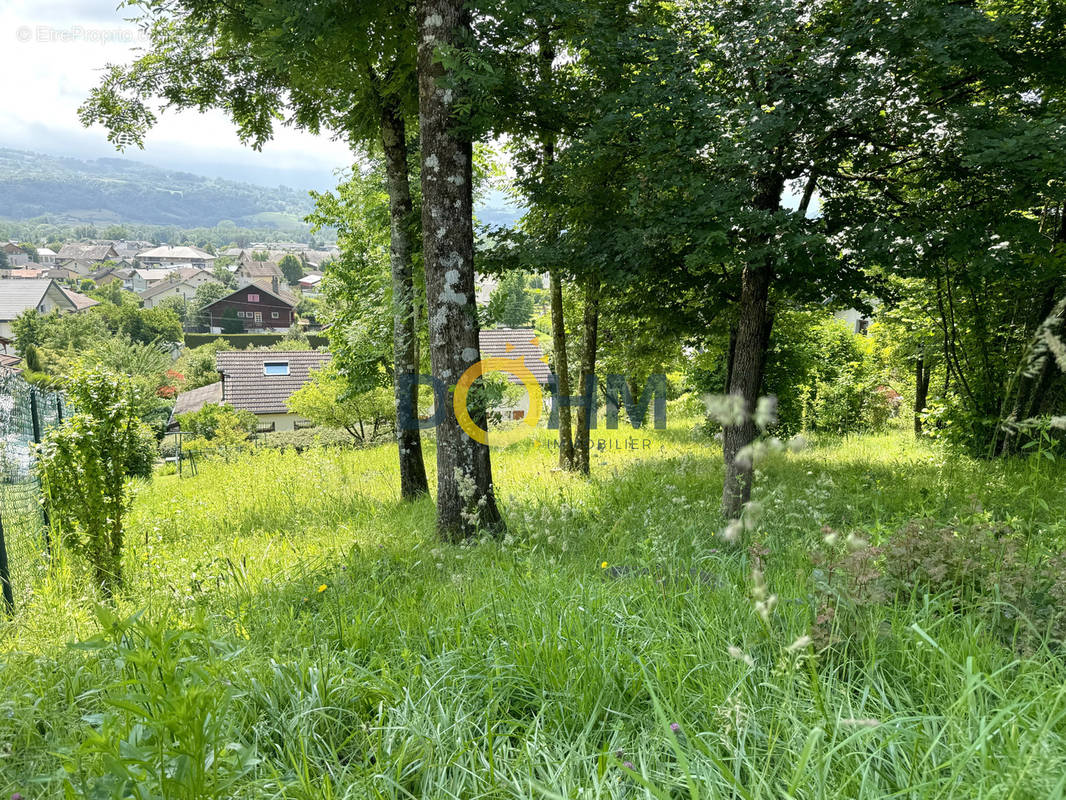 Terrain à ALBENS