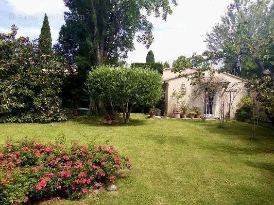 Maison à MORIERES-LES-AVIGNON