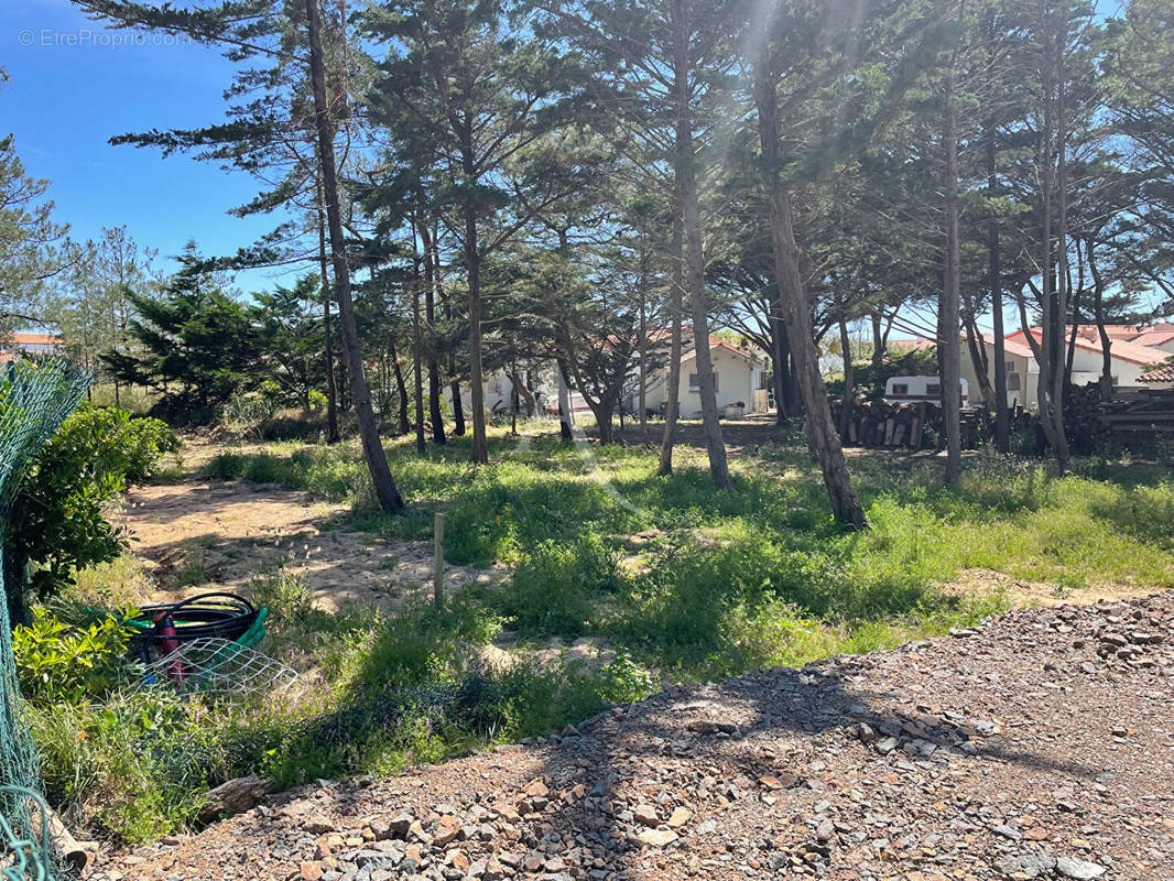 Terrain à BRETIGNOLLES-SUR-MER