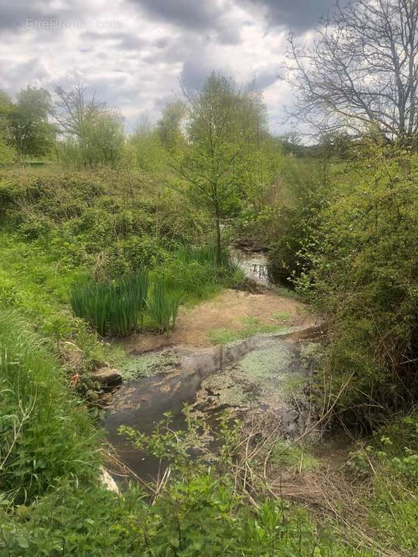 Photo 4 - Terrain à LA BAZOUGE-DES-ALLEUX