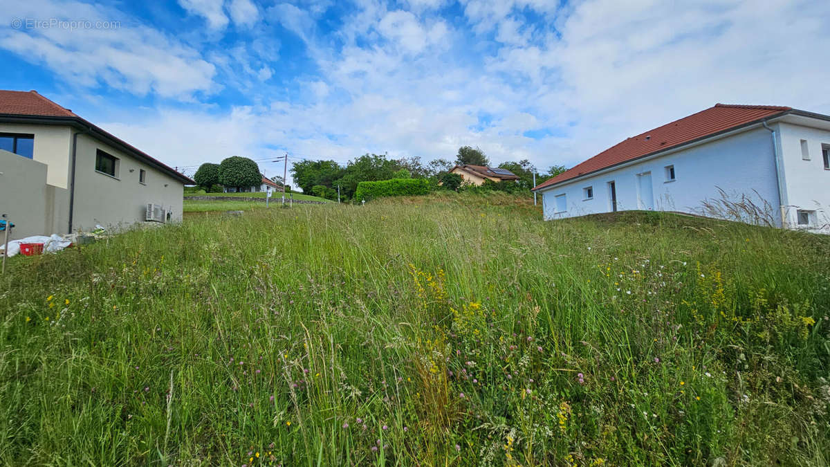 Terrain à SAINT-GENIX-SUR-GUIERS