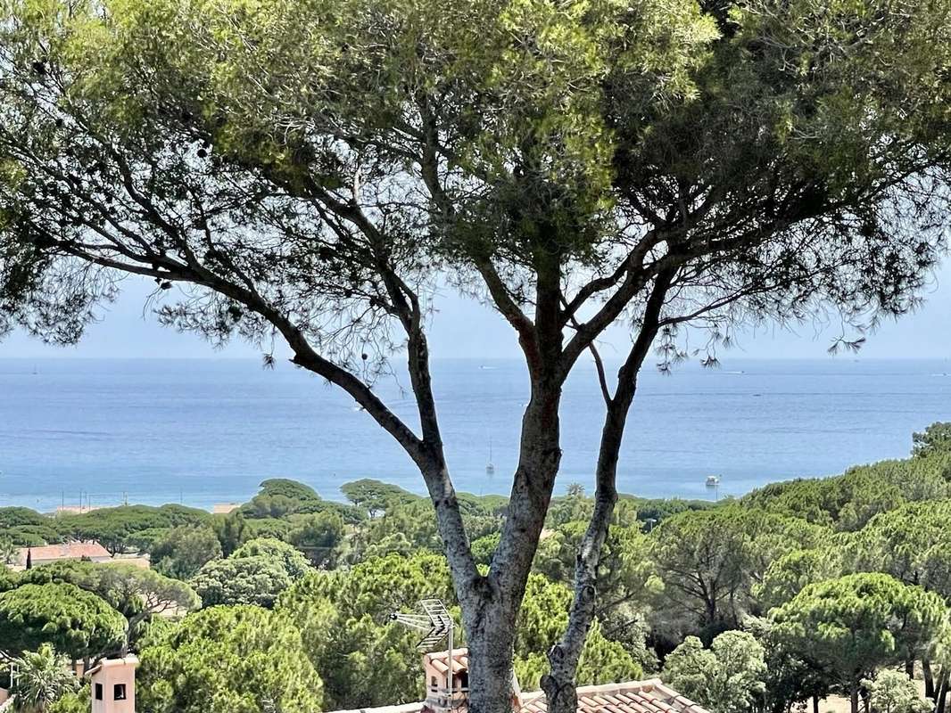 Maison à SAINTE-MAXIME