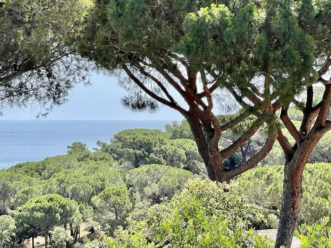 Maison à SAINTE-MAXIME