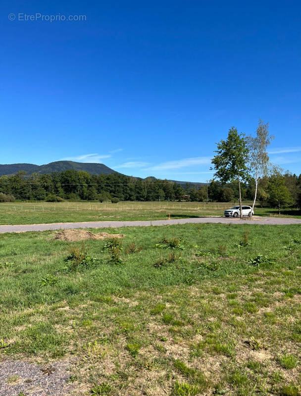 Terrain à SAINT-DIE-DES-VOSGES