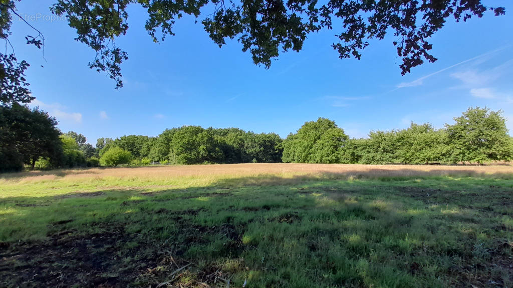 Terrain à SAINT-VIVIEN-DE-MEDOC