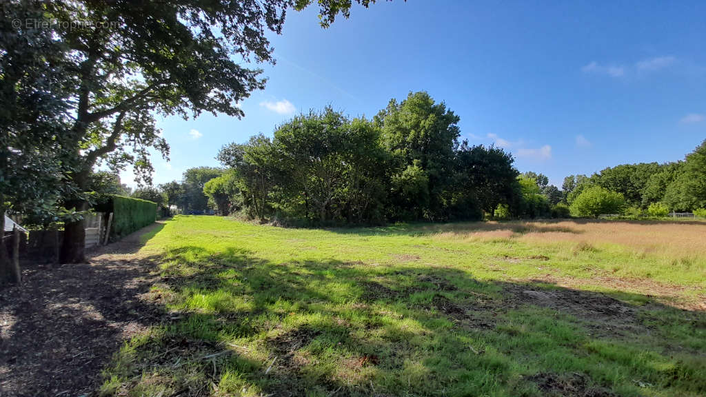 Terrain à SAINT-VIVIEN-DE-MEDOC