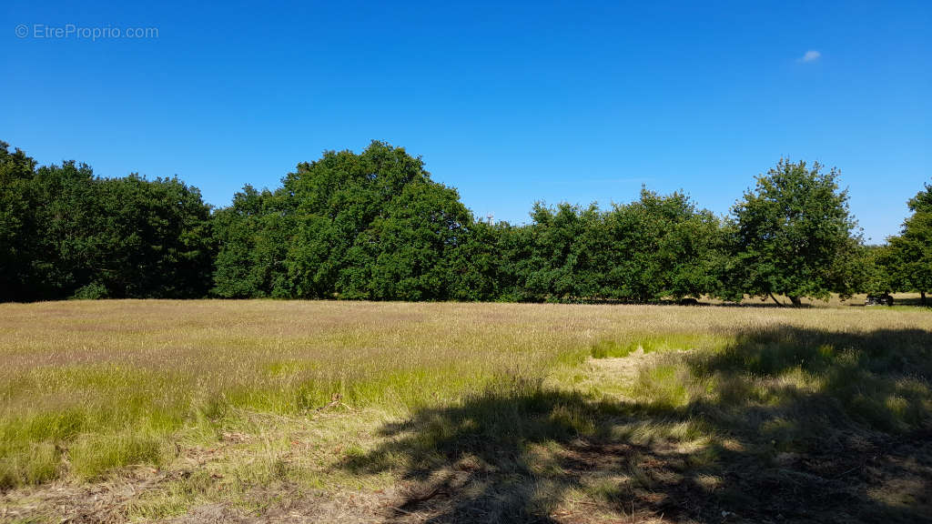 Terrain à SAINT-VIVIEN-DE-MEDOC