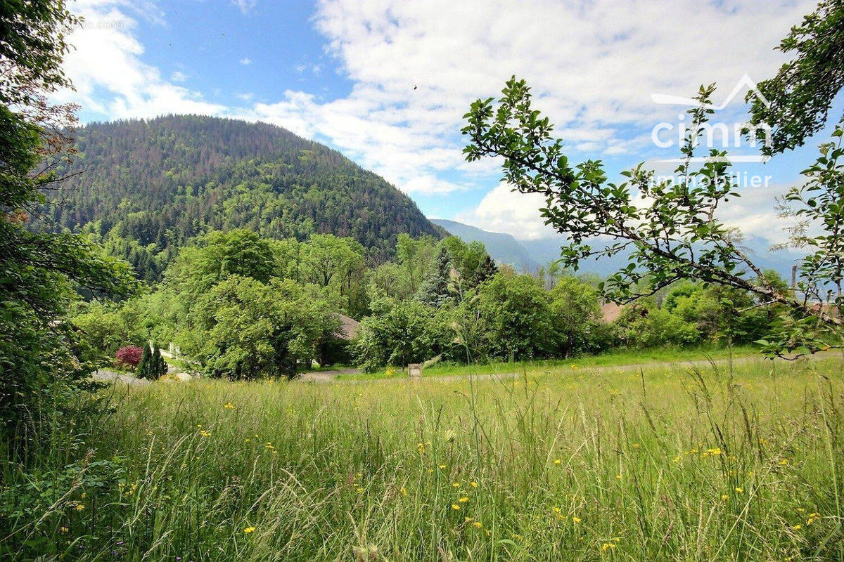 Terrain à SAINT-SIGISMOND