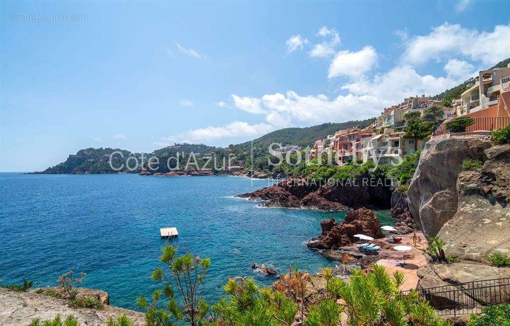 Appartement à THEOULE-SUR-MER