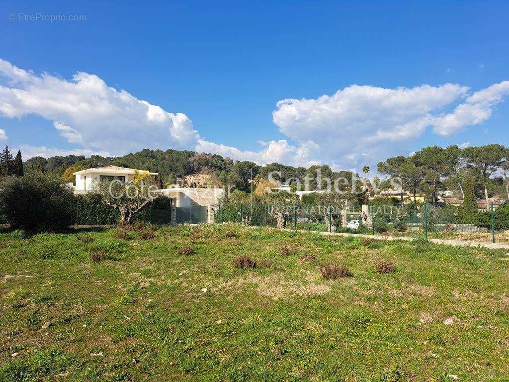 Terrain à MOUGINS