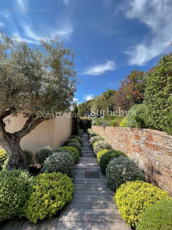 Maison à GRIMAUD