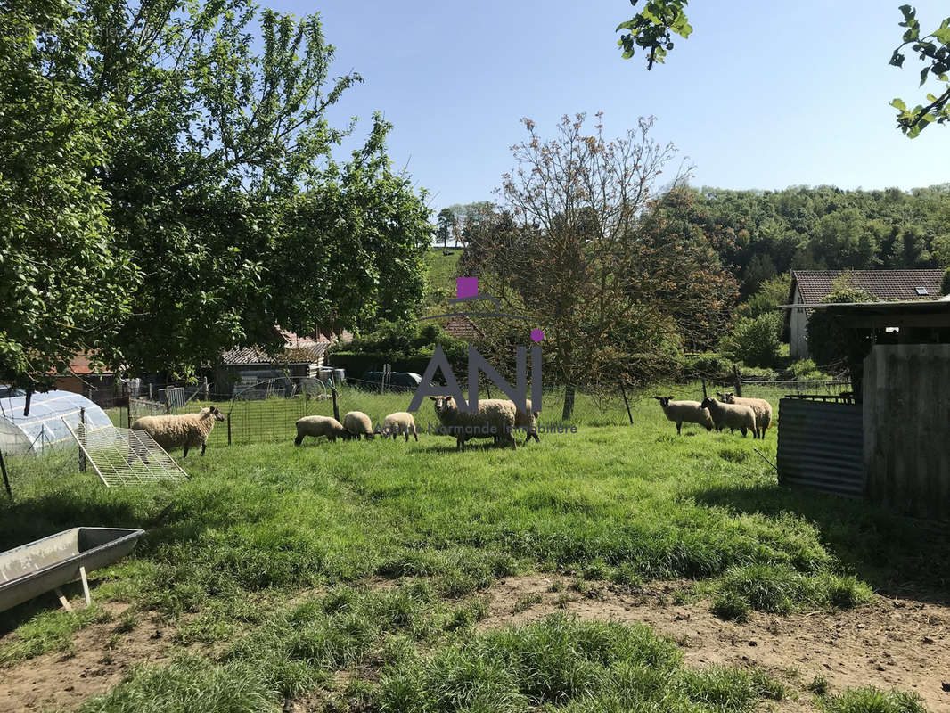 Terrain à BACQUEVILLE-EN-CAUX