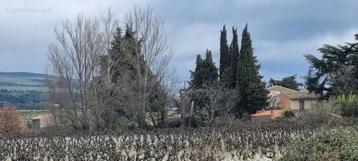 Maison à CAUNES-MINERVOIS