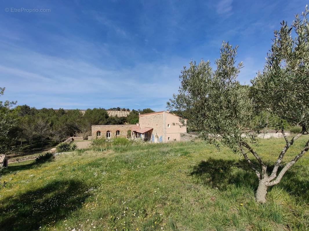 Maison à MINERVE