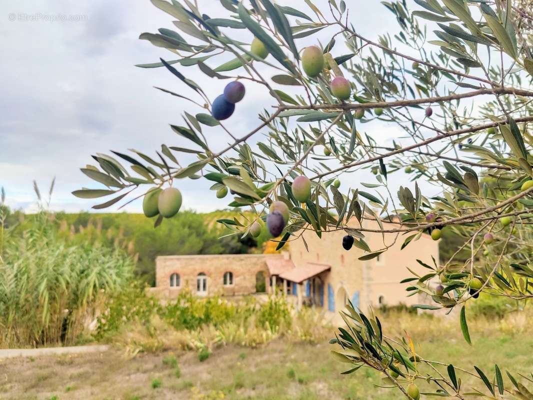 Maison à MINERVE