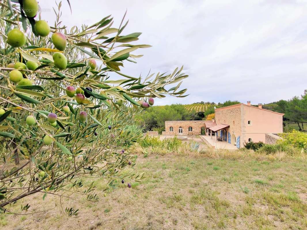 Maison à MINERVE