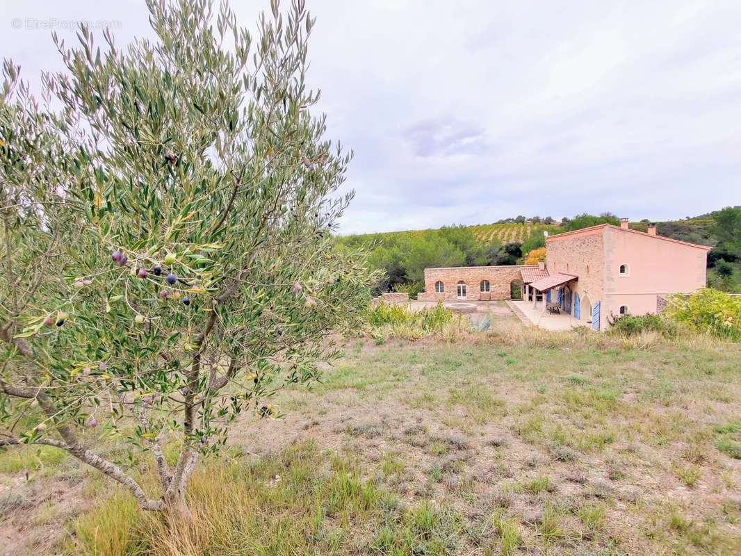 Maison à MINERVE