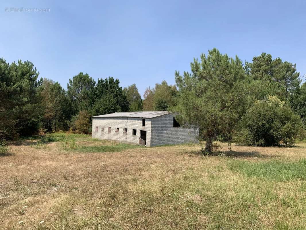 Maison à CERCOUX