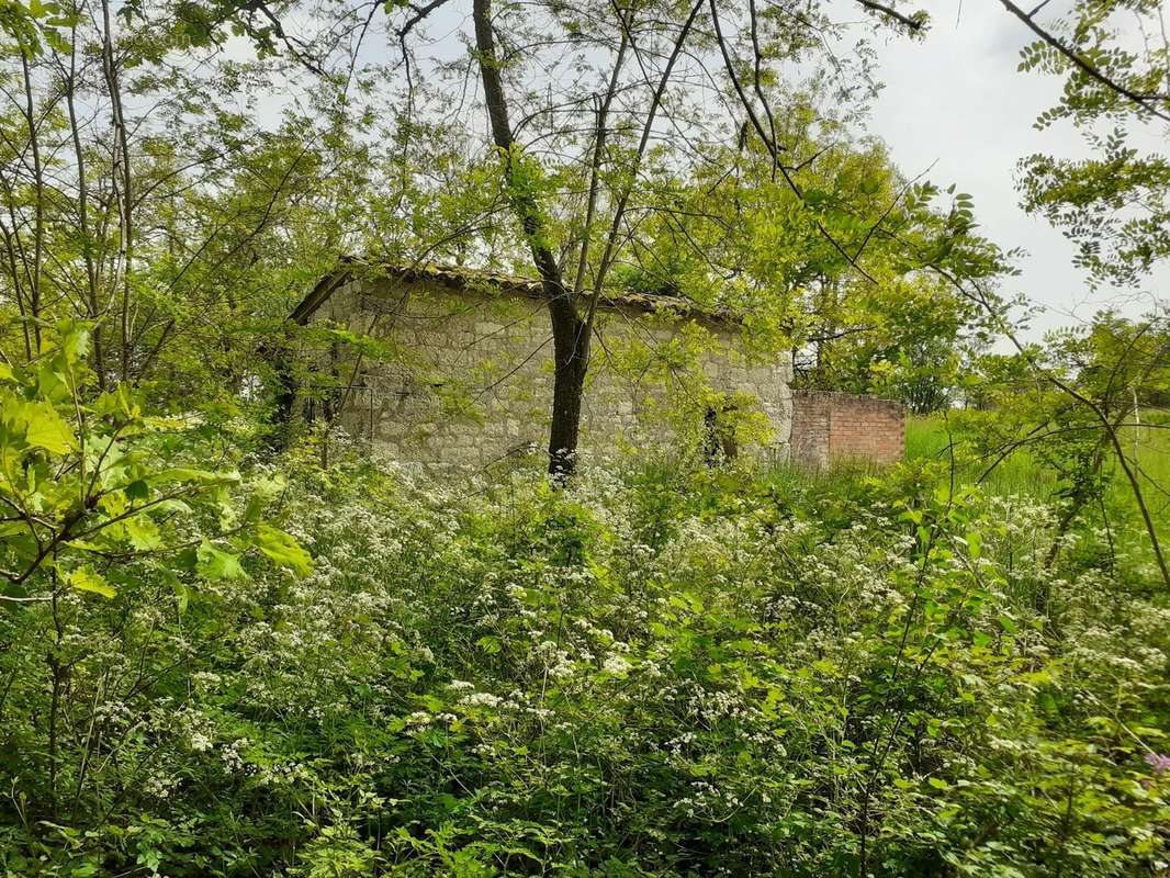 Maison à MONTPEZAT-DE-QUERCY