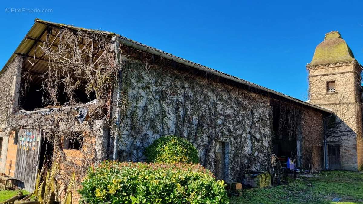 Maison à LISLE-SUR-TARN