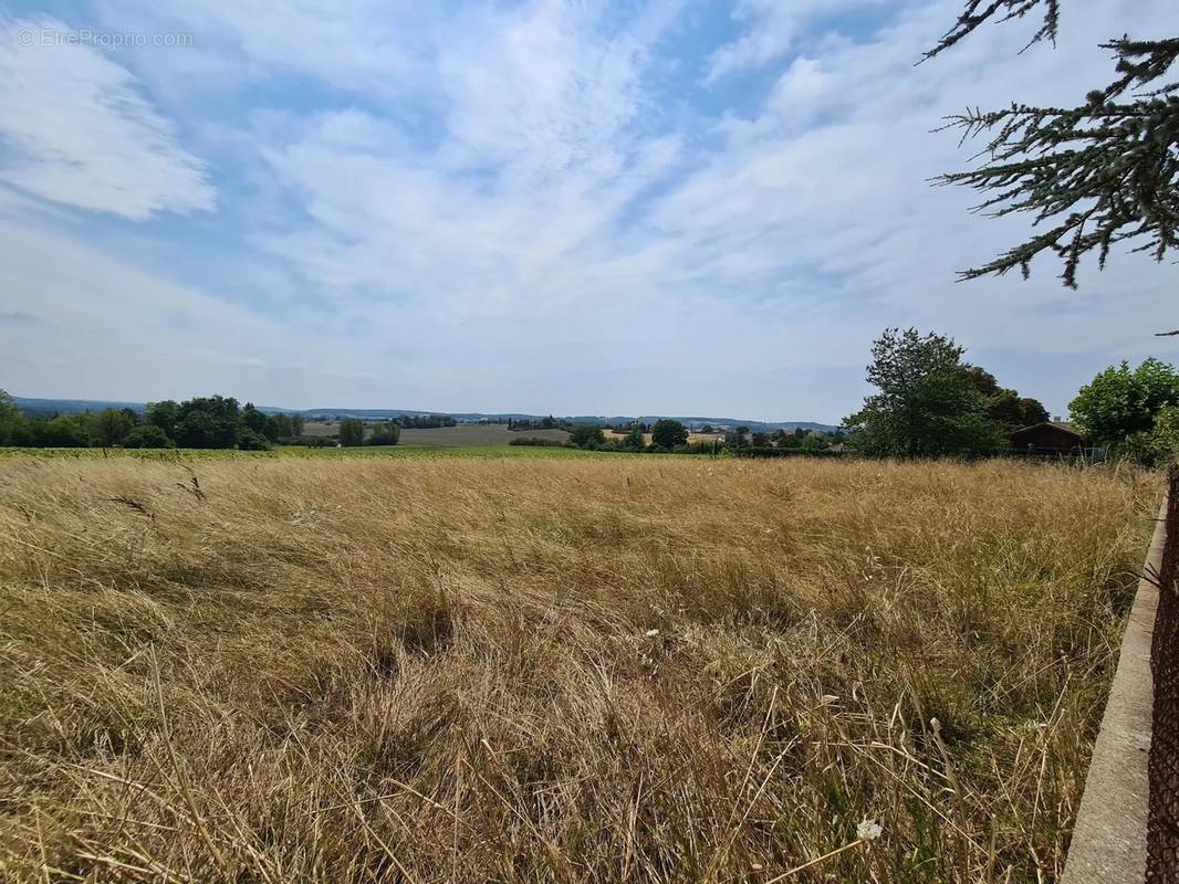 Terrain à MONFLANQUIN