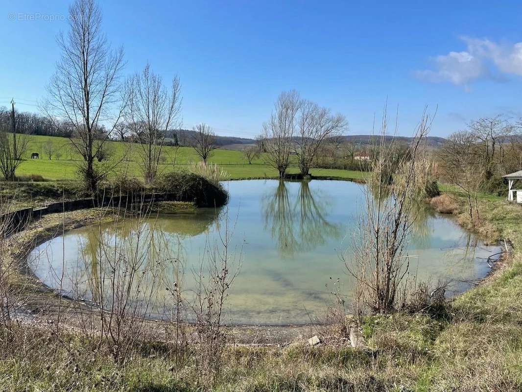 Maison à PENNE-D&#039;AGENAIS