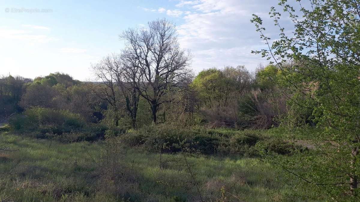 Terrain à MONTAIGU-DE-QUERCY