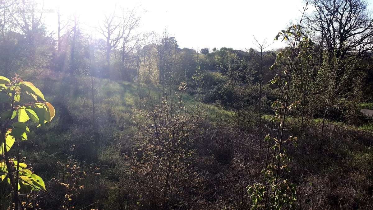 Terrain à MONTAIGU-DE-QUERCY