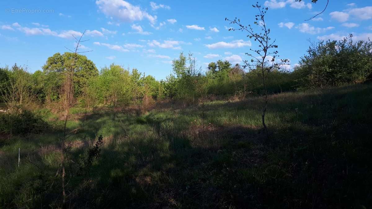 Terrain à MONTAIGU-DE-QUERCY