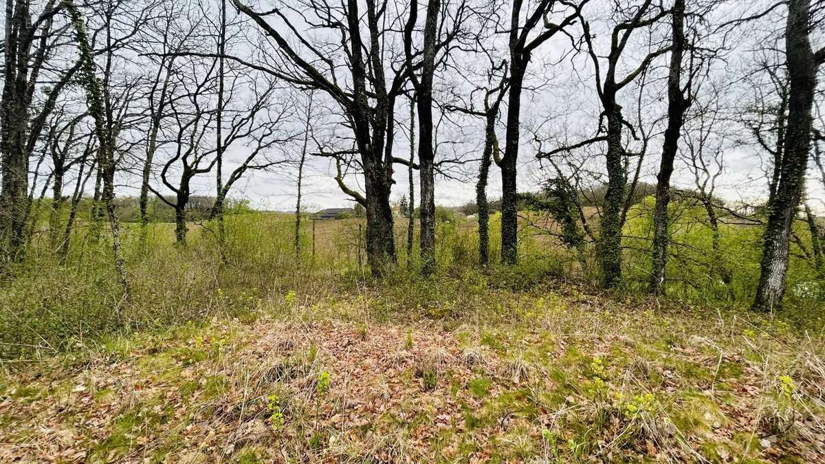 Terrain à MONTLAUZUN