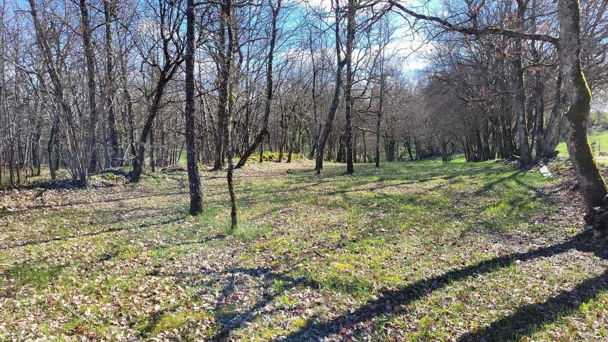 Terrain à MONTAIGU-DE-QUERCY