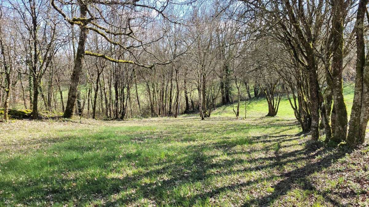 Terrain à MONTAIGU-DE-QUERCY