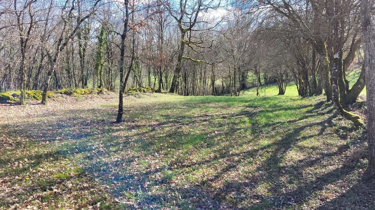 Terrain à MONTAIGU-DE-QUERCY