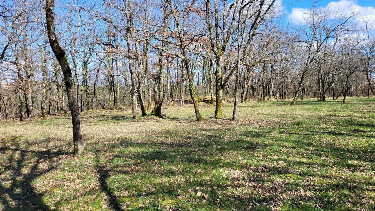 Terrain à MONTAIGU-DE-QUERCY