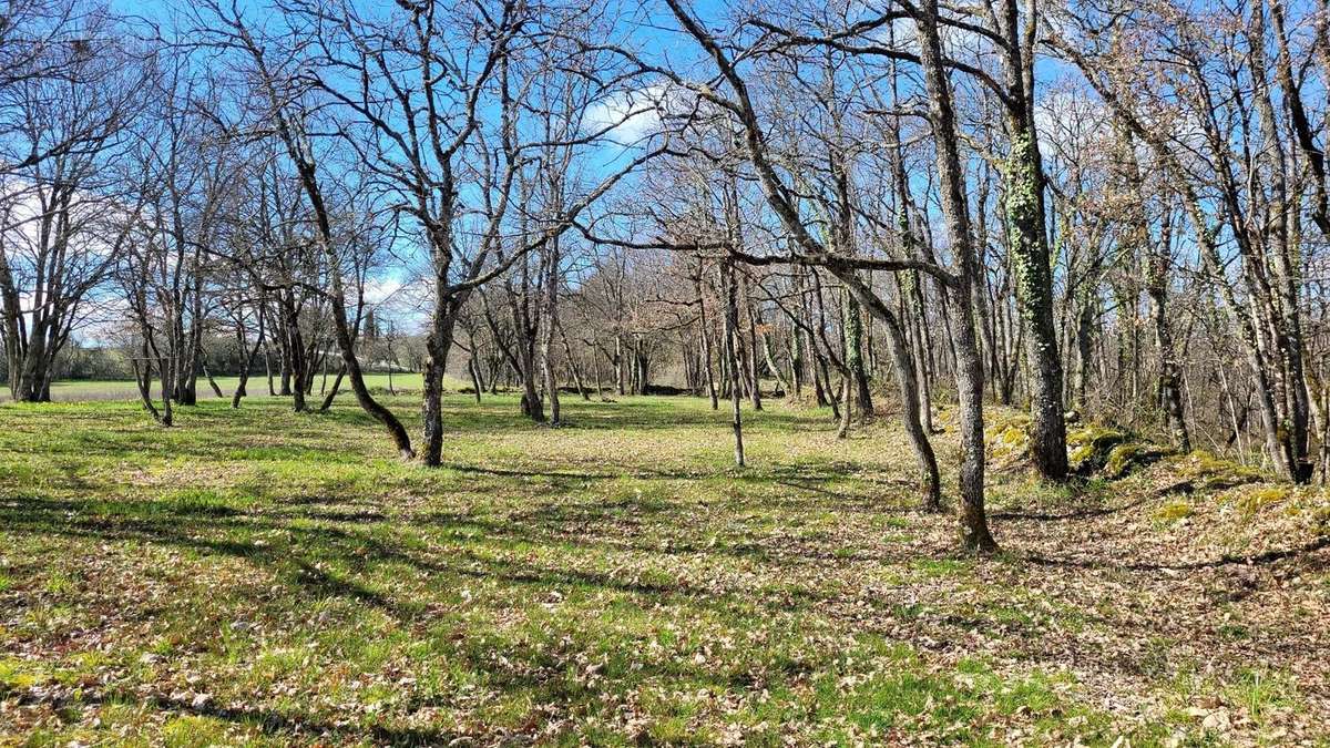 Terrain à MONTAIGU-DE-QUERCY