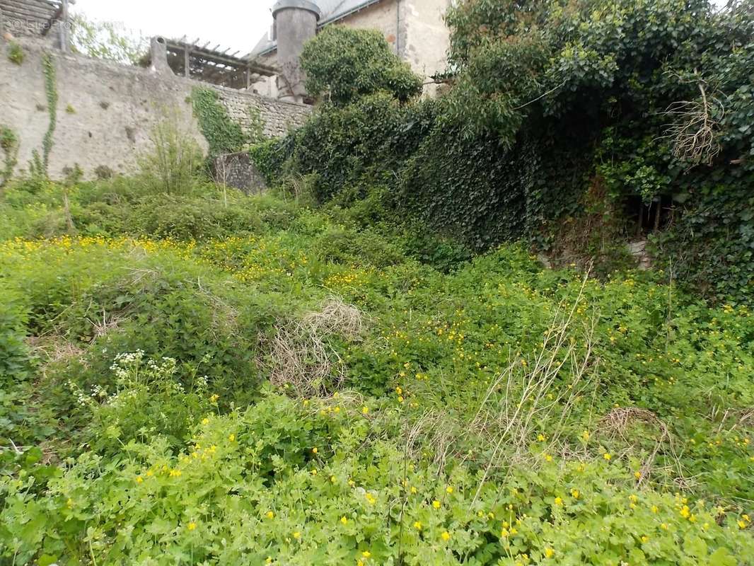 Maison à CHARROUX