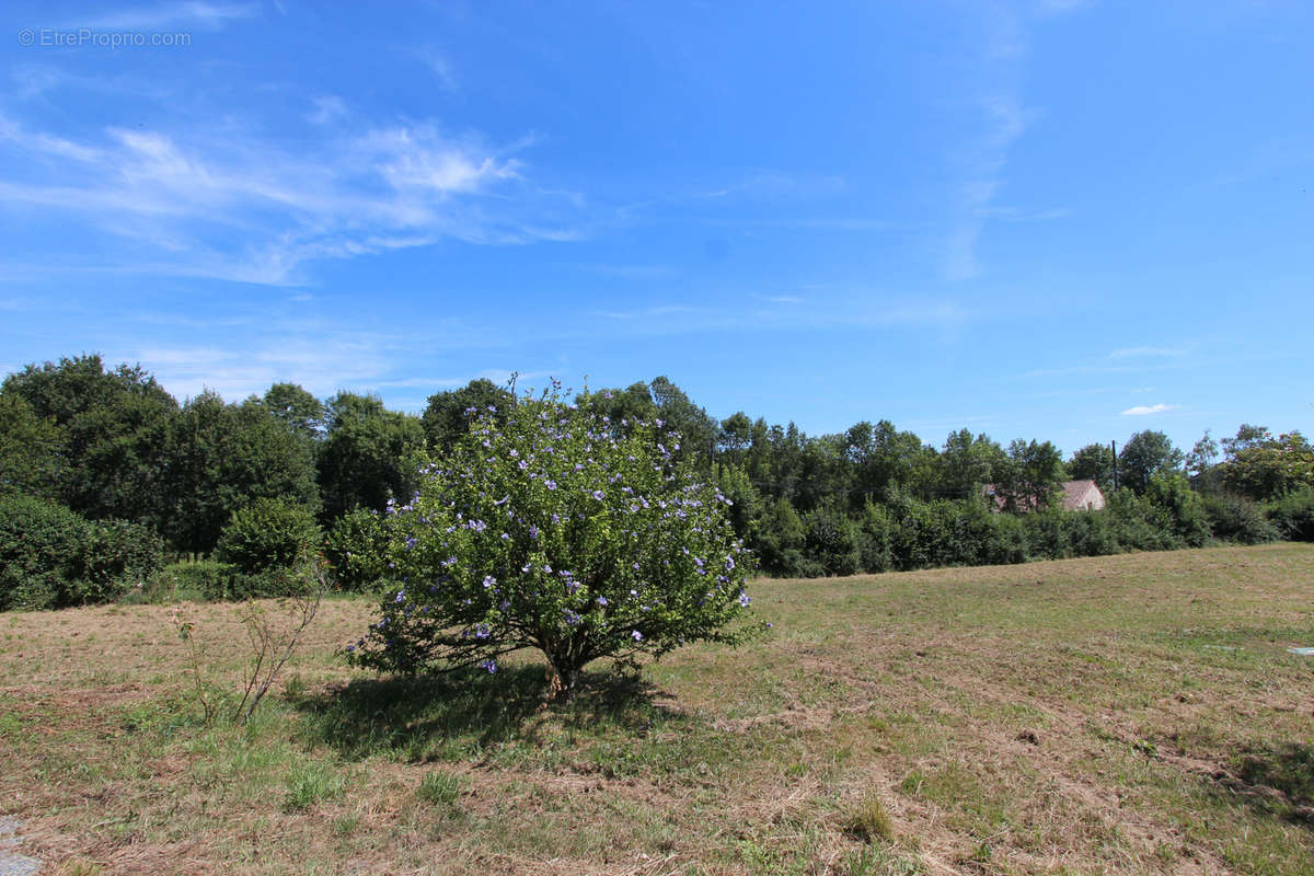 Maison à COULONGES-SUR-L&#039;AUTIZE