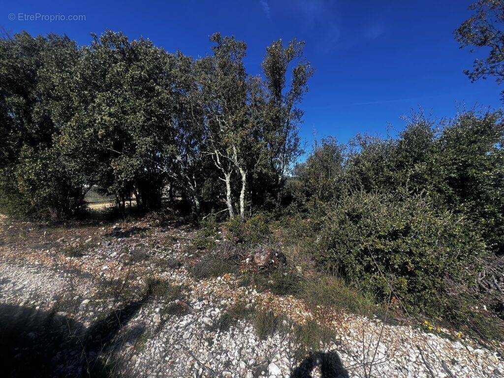 Terrain à BARJAC