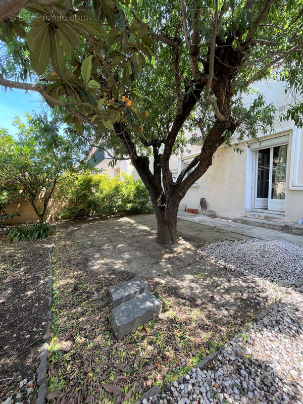 Maison à CANET-EN-ROUSSILLON