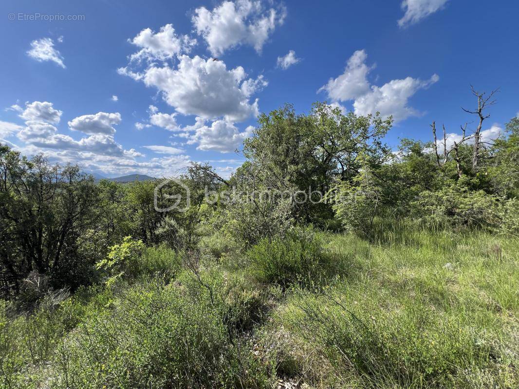 Terrain à SAUVE