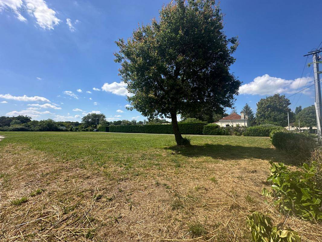 Terrain à SAINT-SULPICE-ET-CAMEYRAC