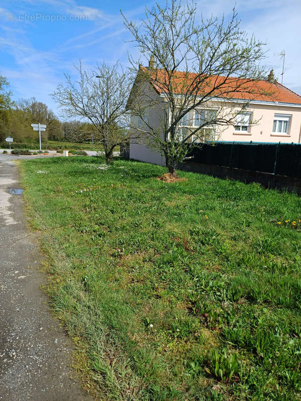 Terrain à LA CHAIZE-LE-VICOMTE